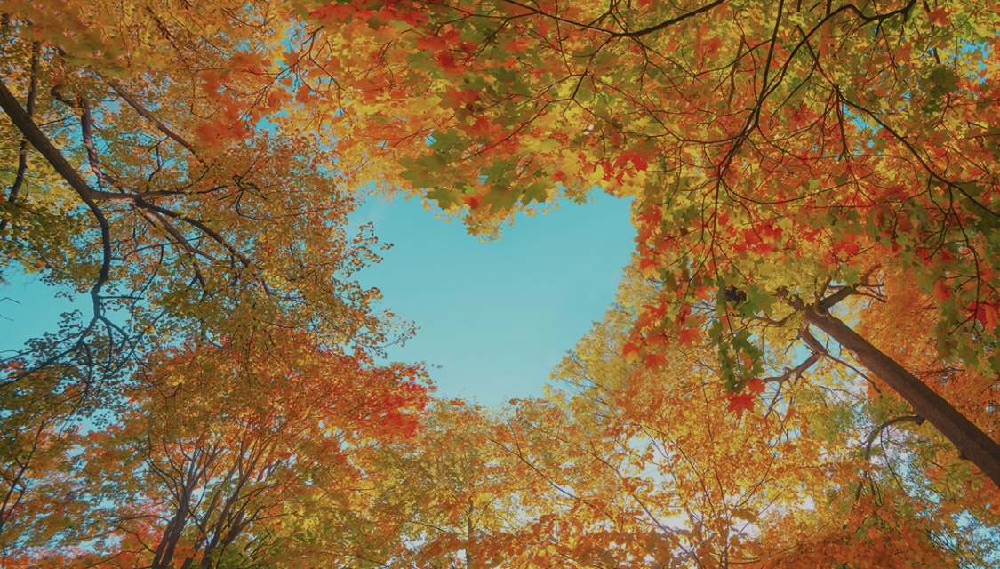 Natura FR “ Avantura ispričana jezikom prirode ”